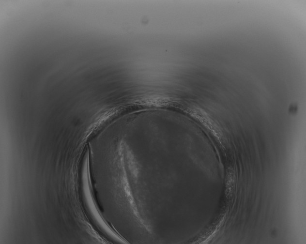 X0000097990585200804011810
