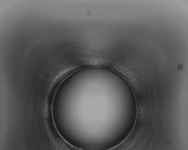 X0000097990587200804011810