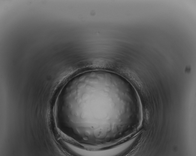 X0000097990588200804011810