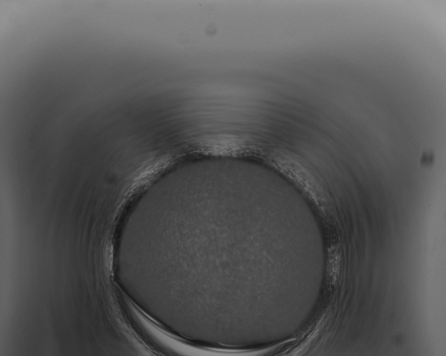 X0000097990589200804011810