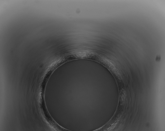 X0000097990590200804011810