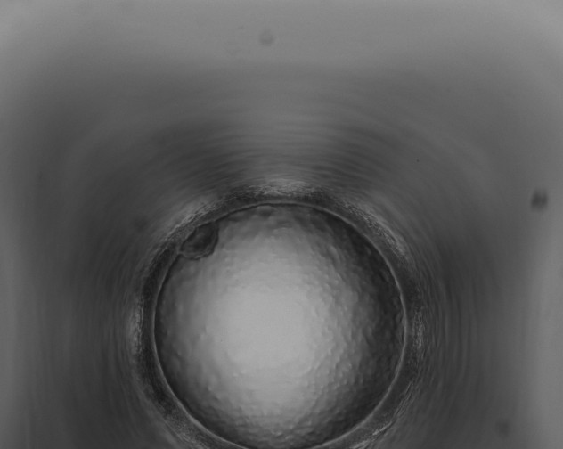 X0000097990591200804011810