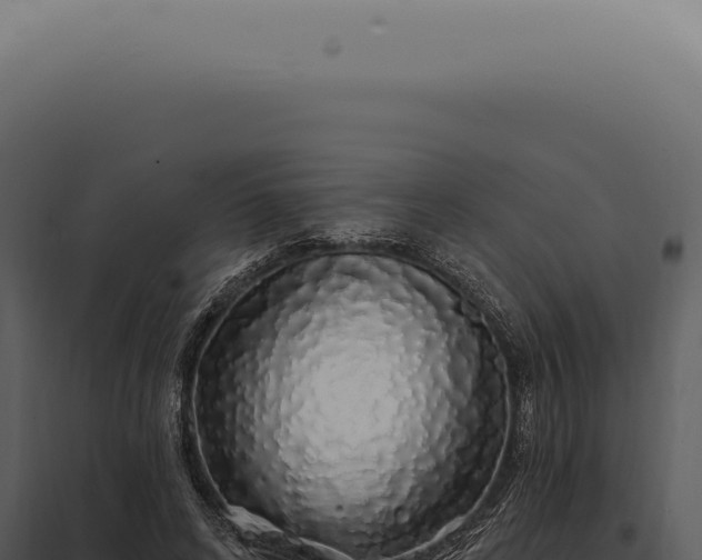 X0000097990592200804011810
