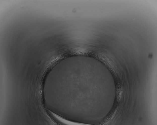 X0000097990593200804011810