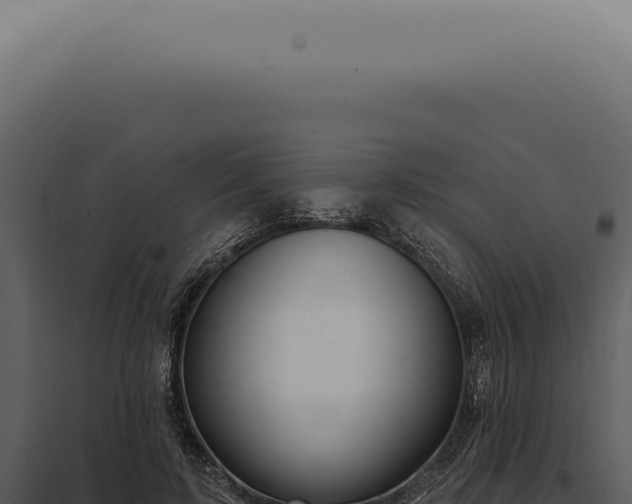 X0000097990595200804011810