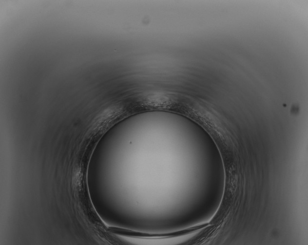 X0000097990597200804011810