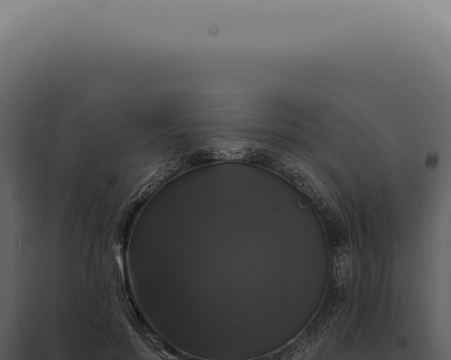 X0000097990598200804011810