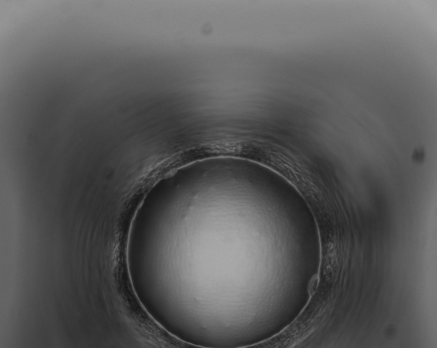 X0000097990600200804011810