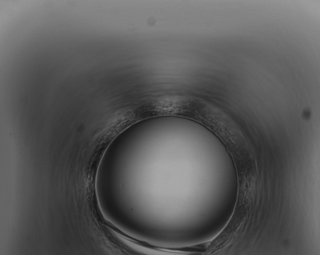 X0000097990601200804011810
