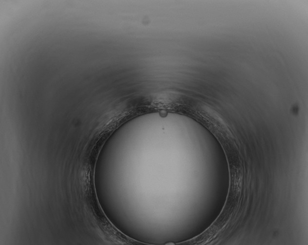 X0000097990603200804011810