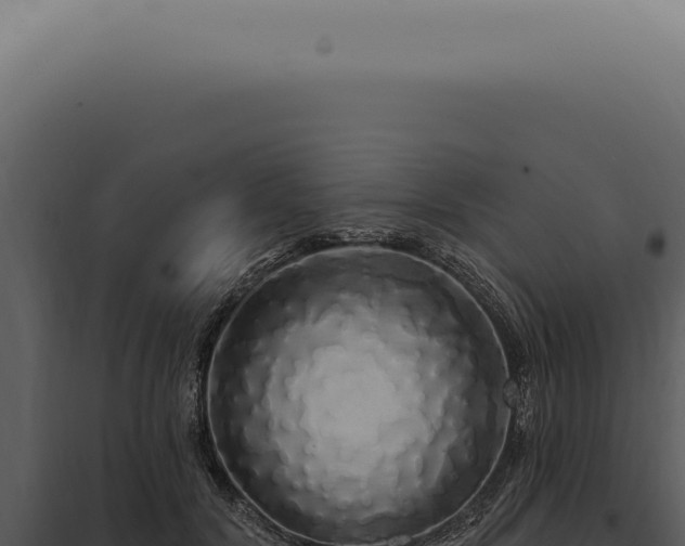 X0000097990604200804011810