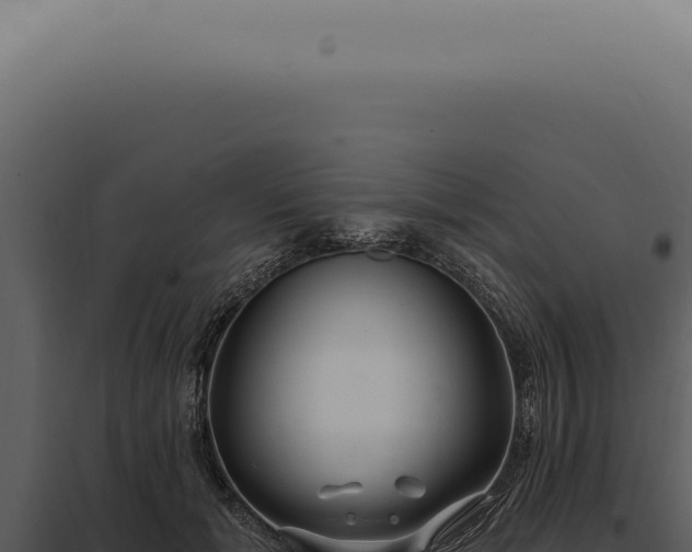 X0000097990605200804011810