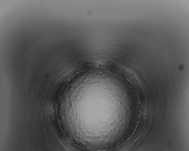 X0000097990607200804011810