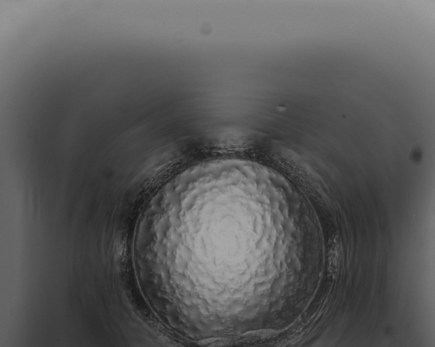 X0000097990608200804011810