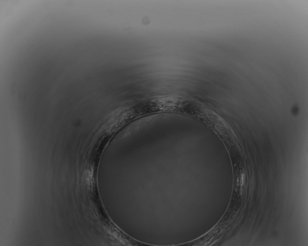 X0000097990610200804011810