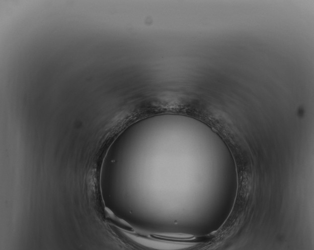 X0000097990612200804011810