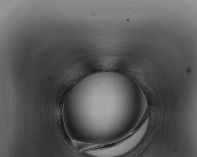 X0000097990613200804011810