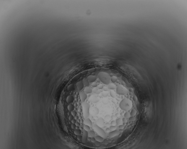 X0000097990615200804011810