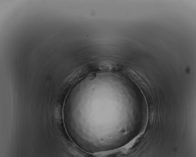 X0000097990616200804011810