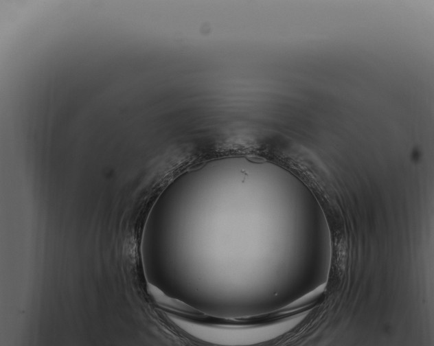 X0000097990617200804011810