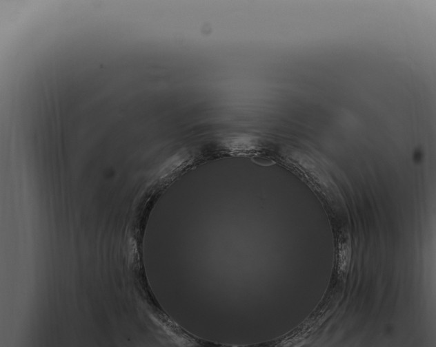 X0000097990618200804011810