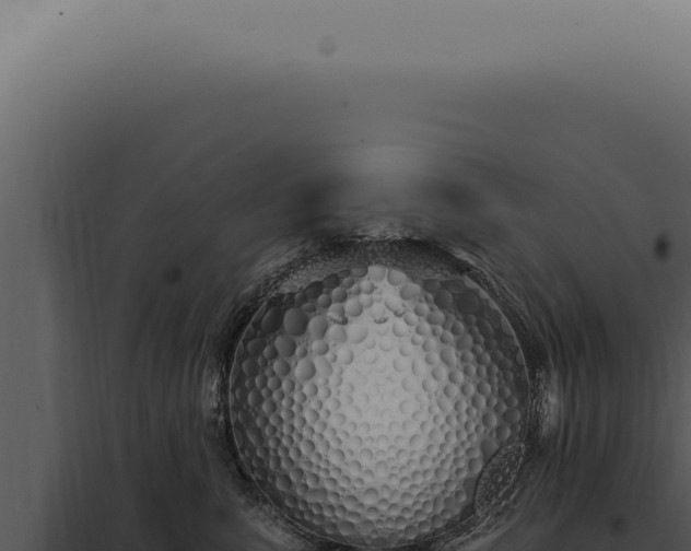 X0000097990619200804011810