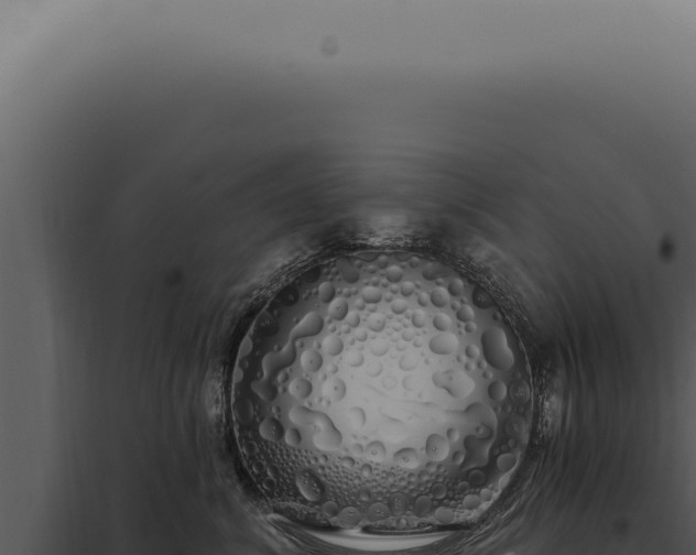 X0000097990620200804011810