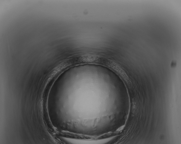 X0000097990626200804011809