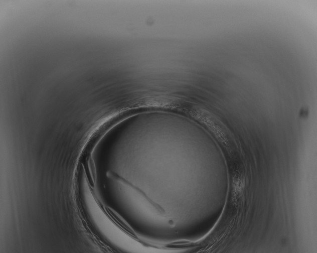 X0000097990628200804011809