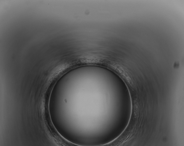 X0000097990631200804011809