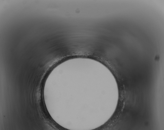 X0000097990632200804011809