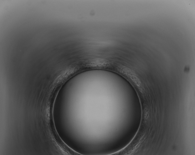 X0000097990633200804011809