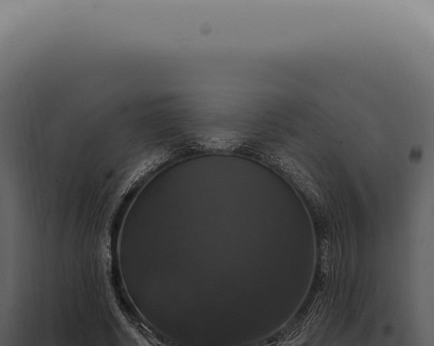 X0000097990634200804011809