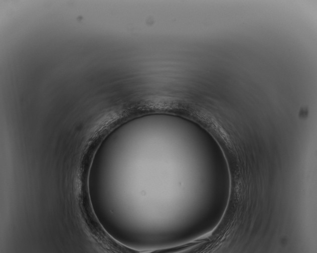X0000097990635200804011809
