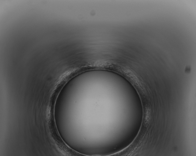 X0000097990636200804011809