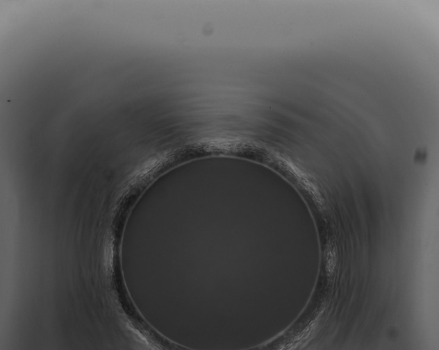 X0000097990637200804011809