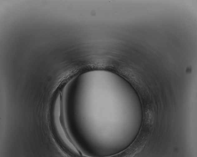 X0000097990638200804011809