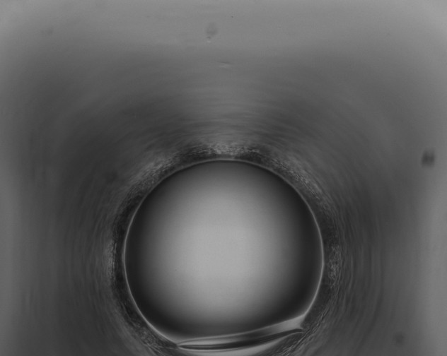 X0000097990639200804011809