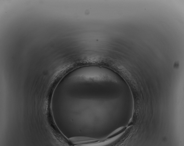X0000097990640200804011809