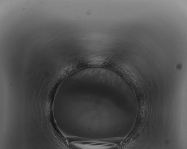 X0000097990641200804011809