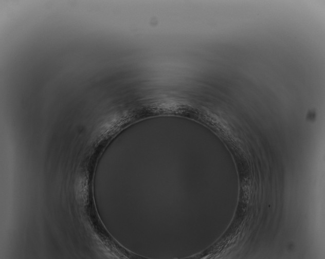 X0000097990642200804011810