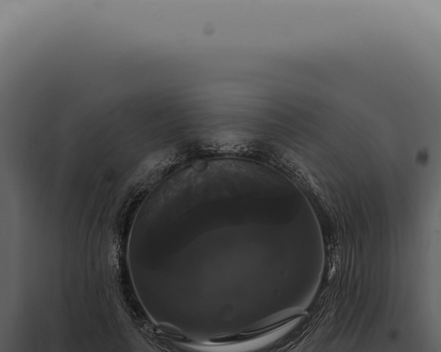 X0000097990643200804011810