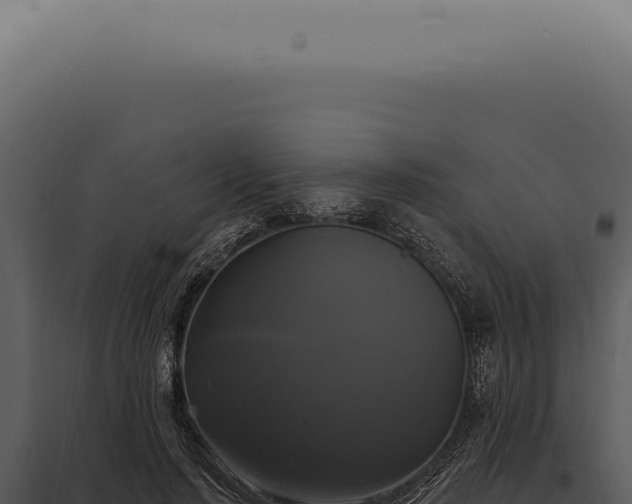 X0000097990644200804011810