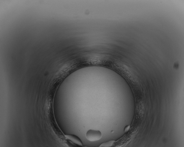 X0000097990645200804011810