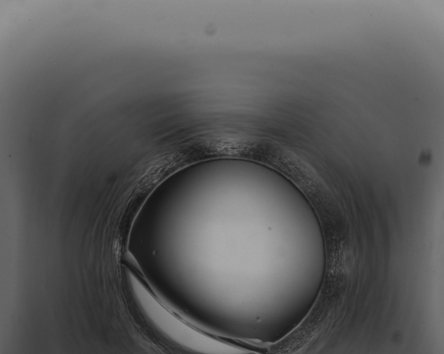 X0000097990646200804011810