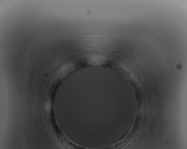 X0000097990647200804011810