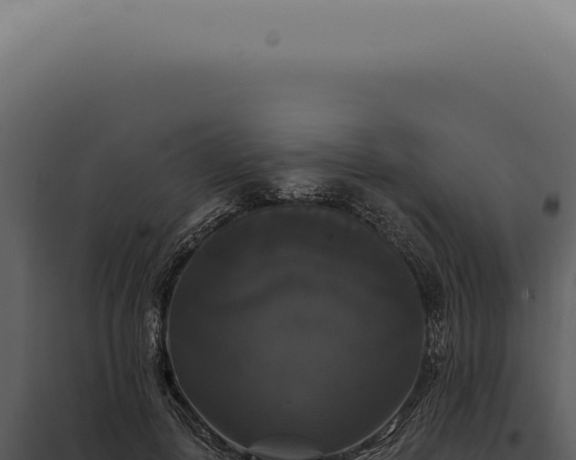 X0000097990648200804011810
