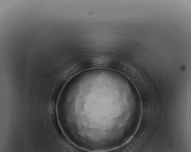 X0000097990649200804011810