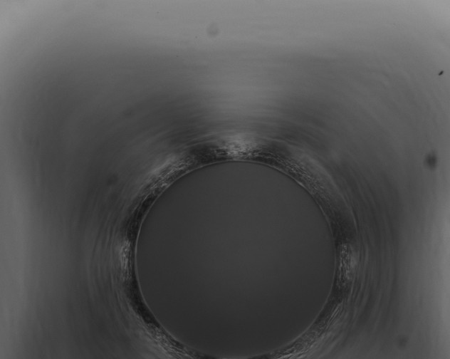 X0000097990650200804011810