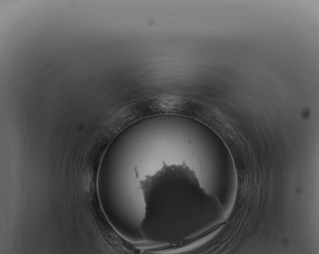 X0000097990651200804011810